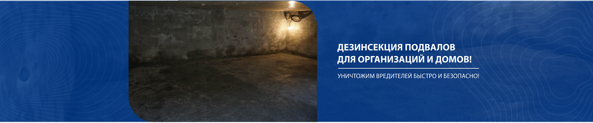 Дезинфекция подвалов Дезинфекция подвалов